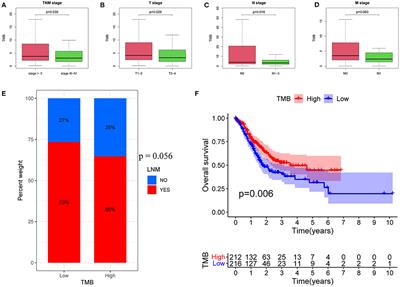 Mutation of MUC16 Is Associated With Tumor Mutational Burden and Lymph Node Metastasis in Patients With Gastric Cancer